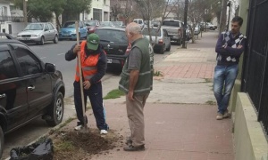 Celebración del Día de la Educación Ambiental en Chicoana