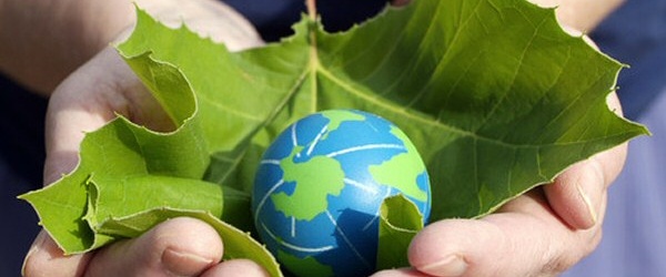 Día Mundial de la Educación Ambiental: Preservar y mejorar nuestro entorno