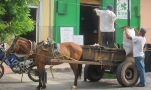El gobierno nacional promete a los carreros de Salta que les regalará 'caballos nuevos'