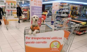 Perros pueden acompañar a sus dueños al supermercado