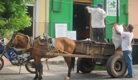 El gobierno nacional promete a los carreros de Salta que les regalará 'caballos nuevos'