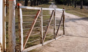 Una jueza de Orán ordena el retiro cautelar en una alambrada en Los Toldos