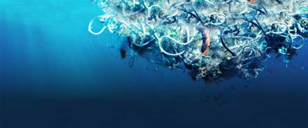 8 de junio: Día Mundial de los Océanos
