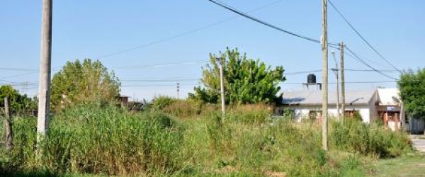 Más de 200 baldíos en mal estado en San Luis y Don Emilio