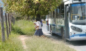 Las dos caras del progreso de Salta: el asfalto y el yuyaral