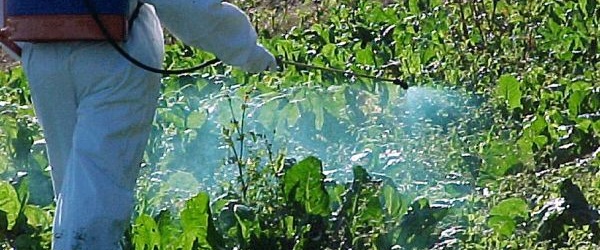 La FAO advierte que América Latina genera altas emisiones agrícolas de gases de efecto invernadero