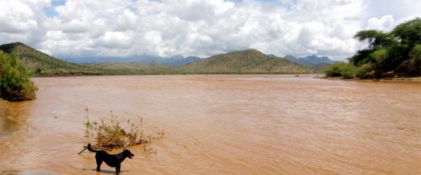 El desbordamiento del río Chuscha provoca diversos daños en Cafayate