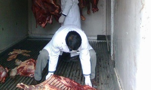 El gobierno de Salta decomisó 360 kilos de carne en el mes de septiembre