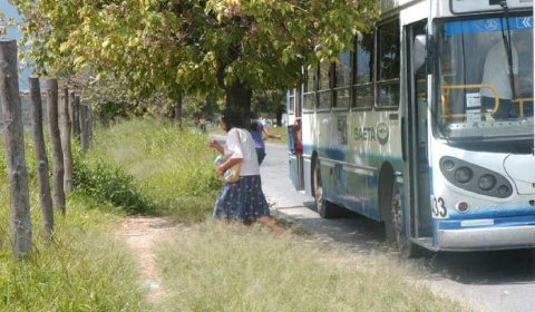 Las dos caras del progreso de Salta: el asfalto y el yuyaral