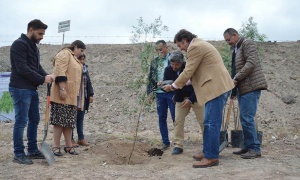 La Municipalidad de Salta planta 280 árboles en el vertedero San Javier