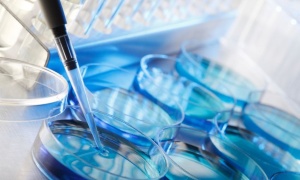 Italia tendrá que compensar a una mujer obligada a implantarse un embrión