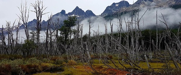 El cambio climático está afectando cada vez más a las áreas de conservación