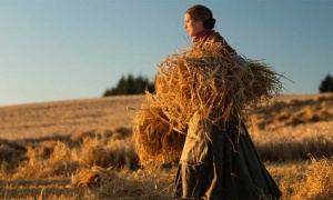 Última función de 'Canción al atardecer', esta noche en el Cine Arte de Salta
