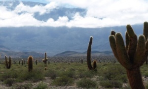 Parque Nacional Los Cardones, naturaleza viva en Semana Santa