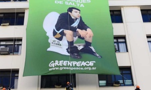 Greenpeace acusa a Urtubey de 'expandir descontroladamente la frontera agropecuaria'