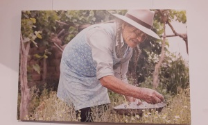 Muestra de arte 'Mujeres del Alto Valle: La Fortaleza Calchaquí' en la Casa de Salta