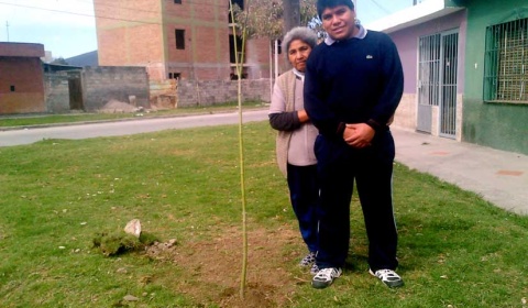 Sáenz se despedirá del primer sillón municipal de Salta con más de 13 mil árboles plantados