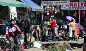 Cuando el conurbano no deja ver el bosque