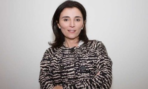 Urtubey propone como jueza de la Corte a Teresa Ovejero sin destacar de ella ningún mérito jurídico