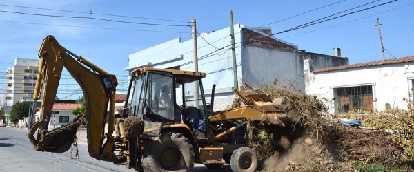 La Municipalidad liquida un microbasural 'crónico' (con perro muerto incluido) en la calle Pedernera