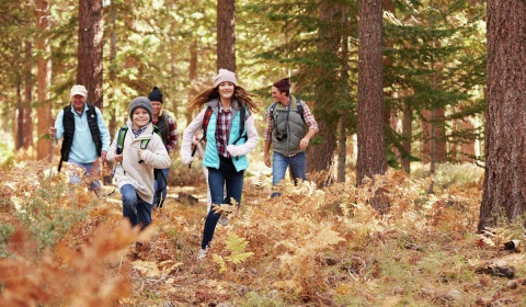 Investiga, explora, maravíllate y aprende sobre los bosques