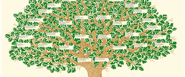 La historia genealógica de Salta, digitalizada por Family Search en los archivos públicos