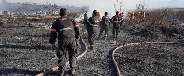 En lo que va de julio, el fuego ha arrasado 30 hectáreas en la ciudad de Salta