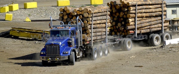 La producción de las pymes industriales argentinas cae un 5,6% en noviembre