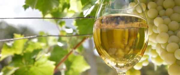 Angastaco organiza el Festival de la Uva y el Vino Patero