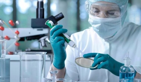 Se celebra hoy el Día Mundial de la Investigación del Cáncer