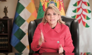 La presidenta de Bolivia denuncia el 'acoso sistemático y abusivo del gobierno kirchnerista'