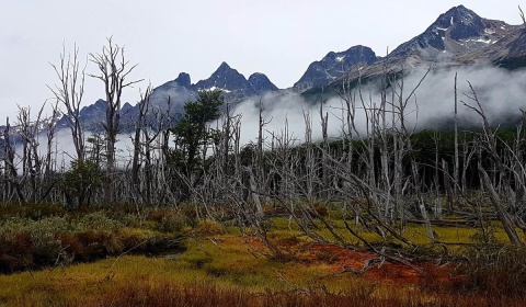 El cambio climático está afectando cada vez más a las áreas de conservación