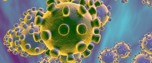 Coronavirus: el gobierno nacional declara la emergencia sanitaria por un año