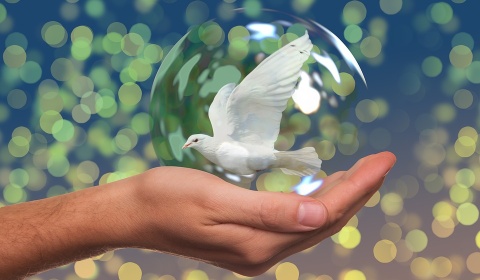 Convivir en paz: un proceso necesario para el desarrollo sostenible