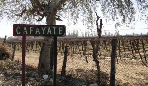 El precio del hospedaje en el norte argentino aumenta un 49% con Cafayate a la cabeza