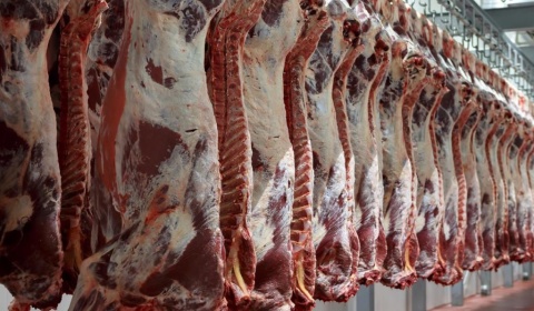 La Argentina vuelve a exportar carne vacuna a Estados Unidos después de 17 años