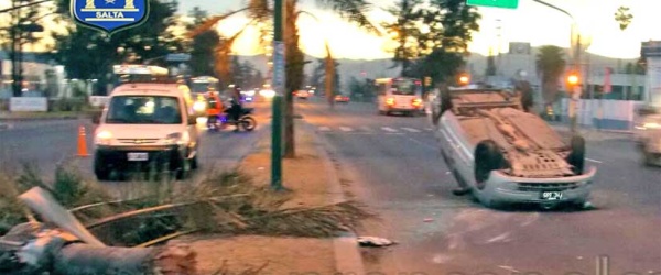 Un peligro mortal: Los árboles y farolas en la mediana de la avenida Paraguay