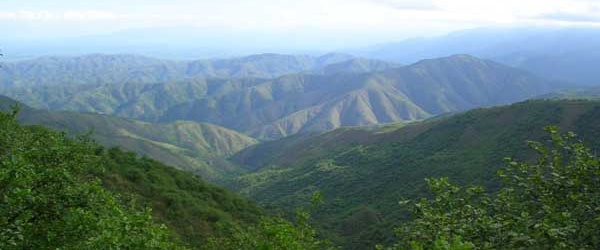 El gobierno llama a presentar proyectos de manejo y conservación de bosques nativos