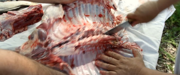 Decomisadas en septiembre más de dos toneladas de carne proveniente de la faena clandestina