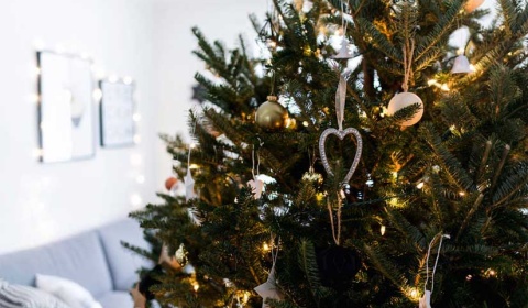 Navidad en Salta: Feria 'Diseño en Casa'