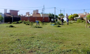 La Municipalidad lucha contra los yuyos en los barrios San Carlos, Los Ceibos y Miguel Aráoz