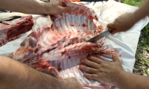 El gobierno de Salta decomisó más de una tonelada de carne en abril