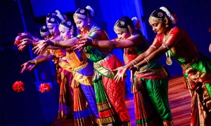 Segunda edición del India Fest en Salta