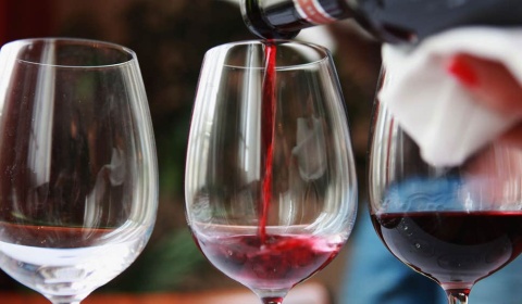 Feria de vinos Degustar Salta, un recorrido por las bodegas argentinas