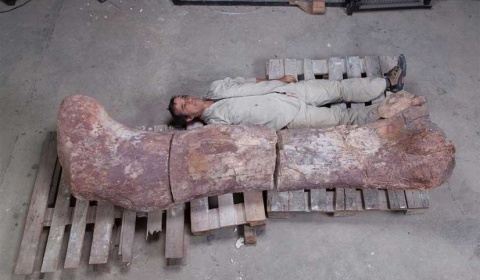 Patagotitan Mayorum, el dinosaurio más grande de la historia