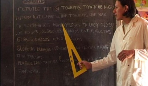 Día Internacional de los Pueblos Indígenas: Derecho a la educación