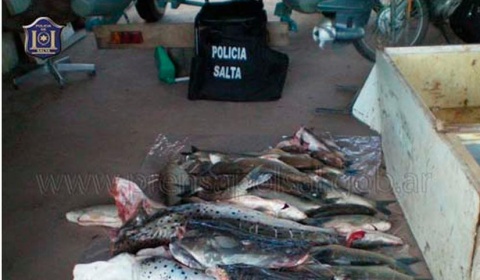 La Policía de Salta incinera sábalos, surubíes y bagres secuestrados en un operativo
