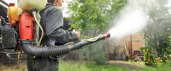 Operativo de fumigación en el cementerio San Antonio de Padua