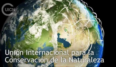 Comenzaron los Juegos Olímpicos de la Conservación