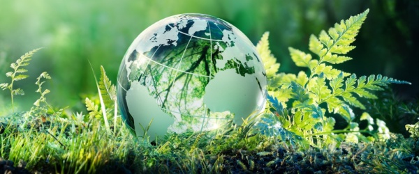 La hora de la Naturaleza